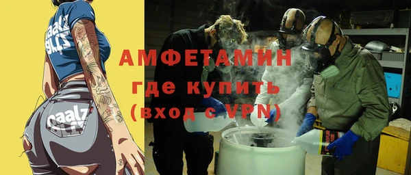 гидра Богородицк