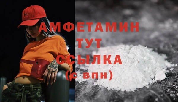 гидра Богородицк